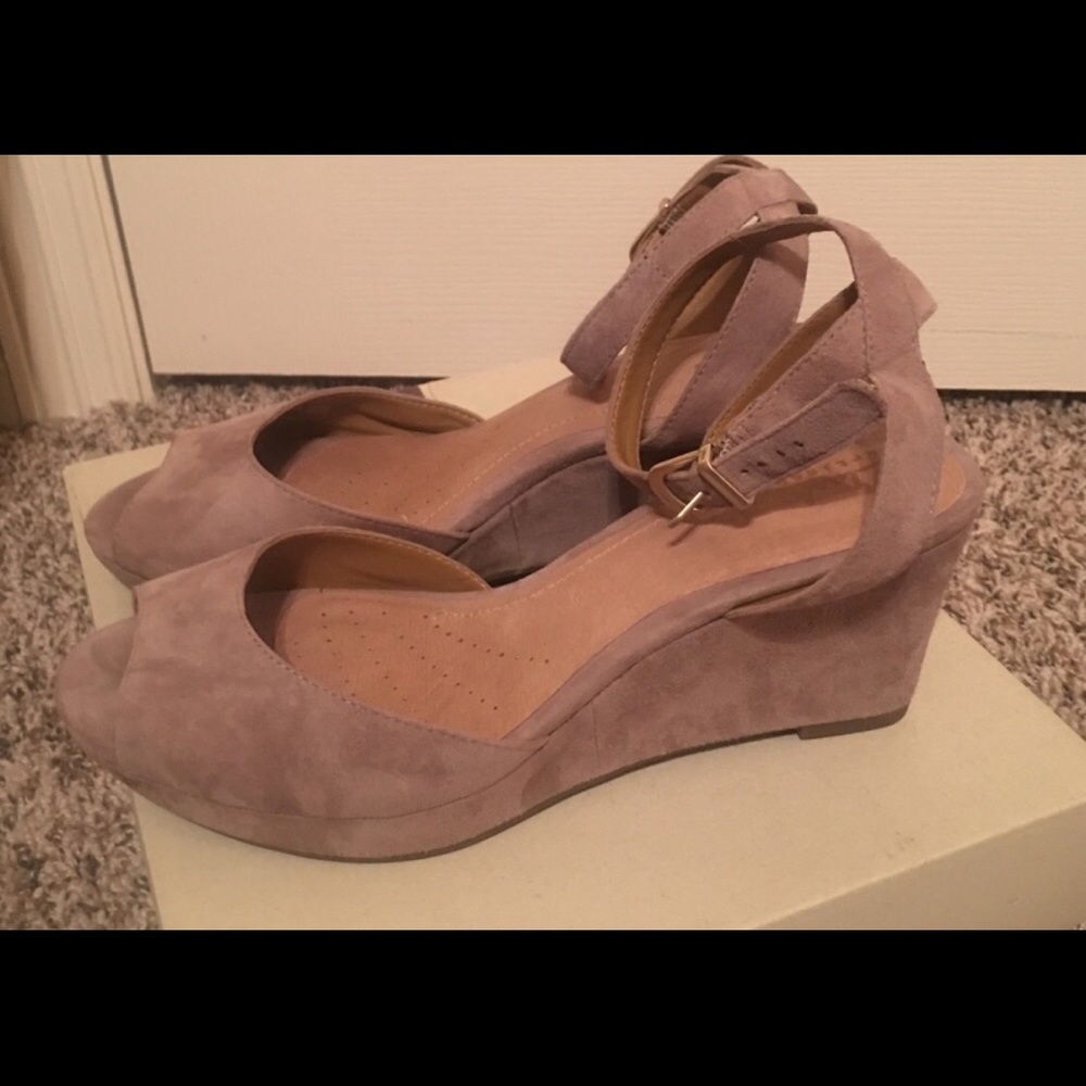 Clark wedge